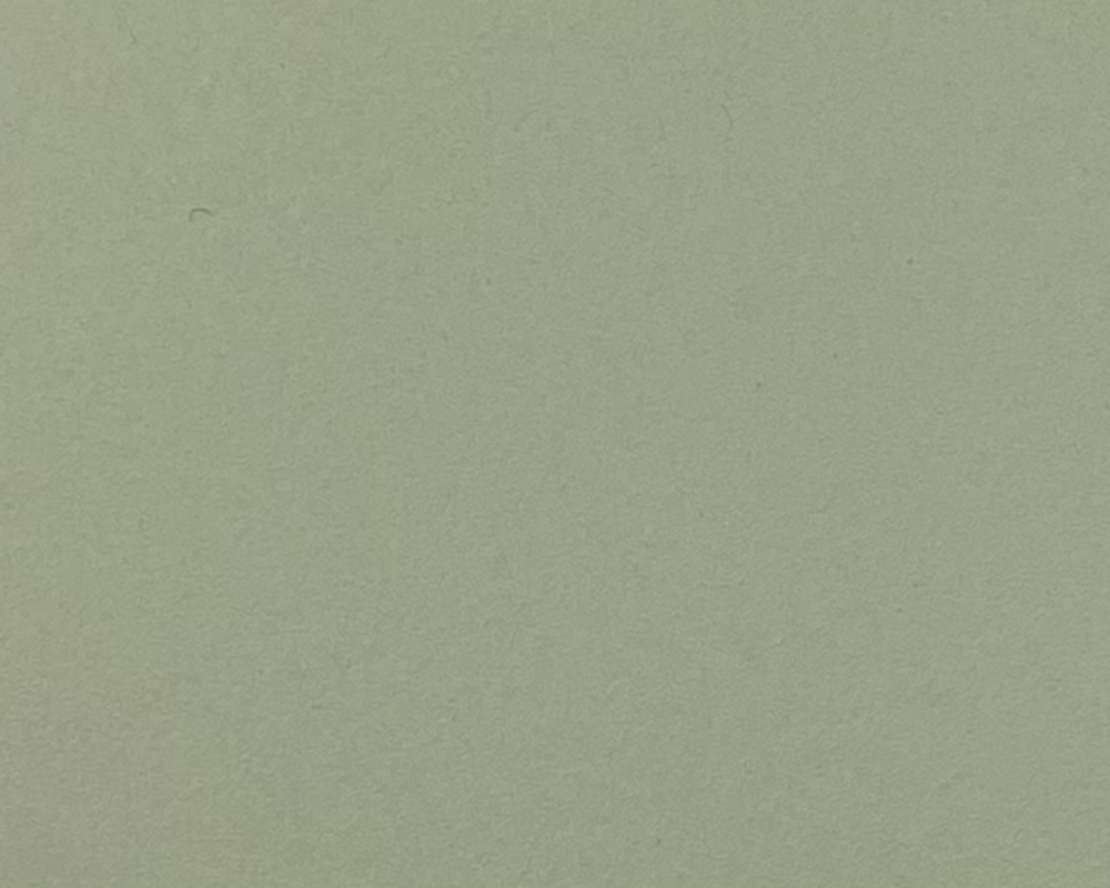 ダイゾー ナチュラル 4183 pistachio 980mm×780mm | www.dlchauffage.fr