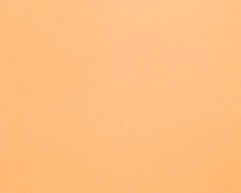 ファニチャーリノリウム　4001　clay