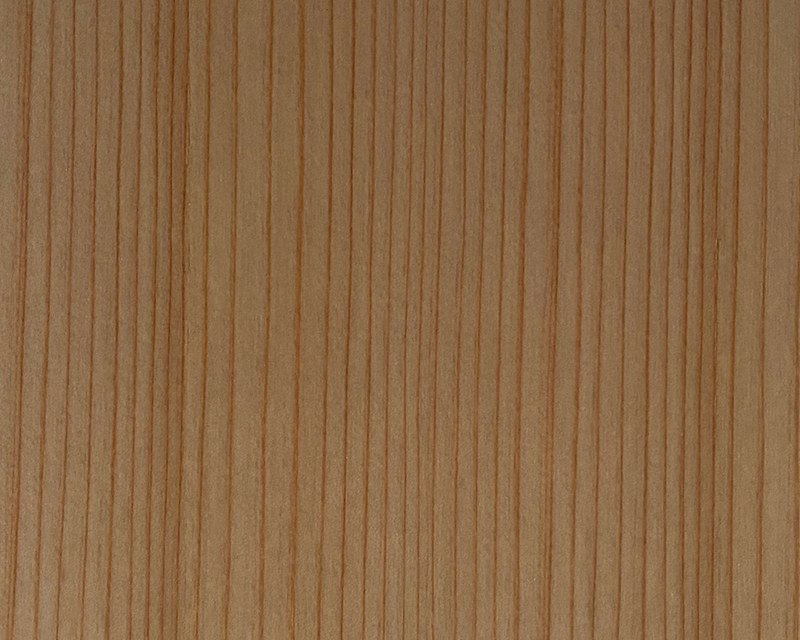 突板化粧板　T-251　杉柾目