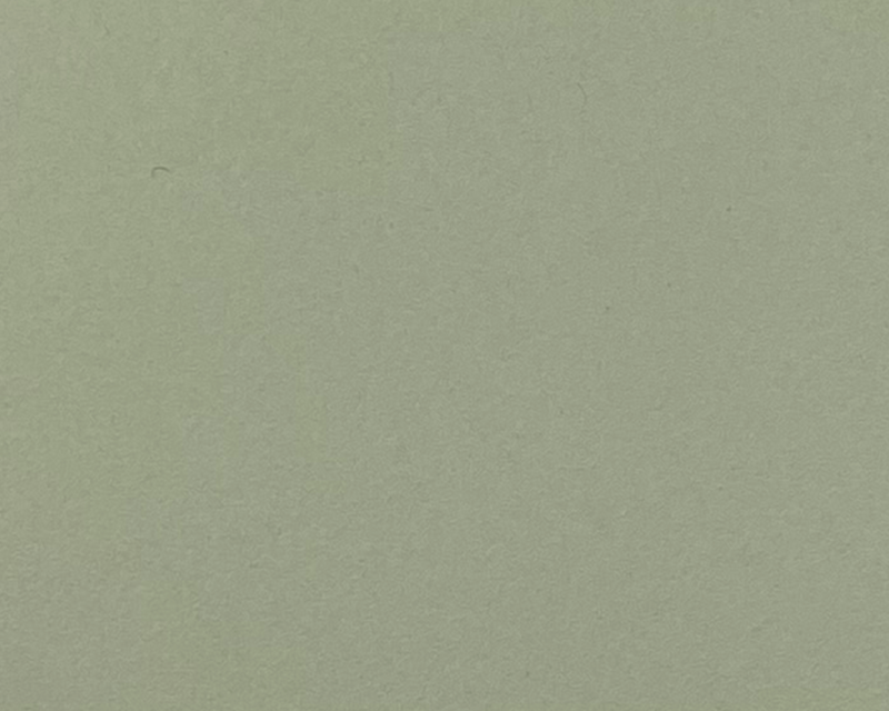 Li 4183 ファニチャーリノリウム 4183 pistachio – 化粧板メーカーの伊千呂